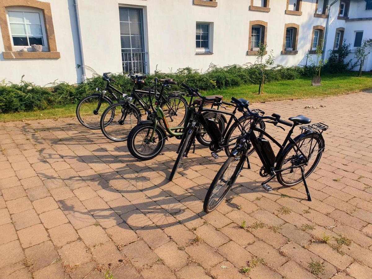 Große Bauernhaus Ferienwohnungen bis 100qm mit Grillhütte&Garten&E-Bike-Verleih Bad Rothenfelde Exterior foto